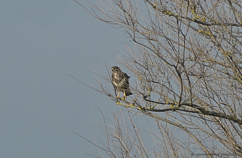 Dalla Sterpaia a Bocca d''Arno